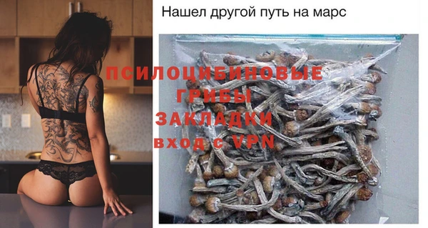 PSILOCYBIN Алексин