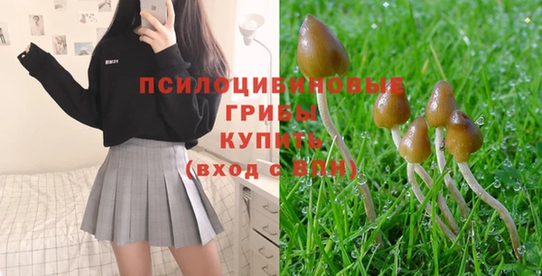 PSILOCYBIN Алексин