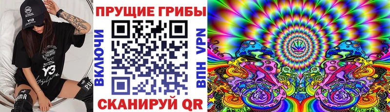Псилоцибиновые грибы GOLDEN TEACHER Чкаловск